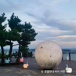 목포 달토끼
